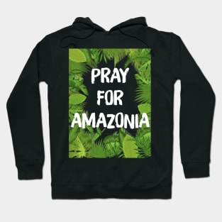 Pray For Amazonia Rainforest Save The Amazon Forest Hoodie